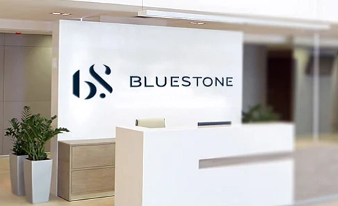 Bluestone Jewellery & Lifestyle Pvt. Ltd.