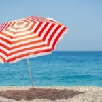 Top 10 Popular Umbrella Brand in India