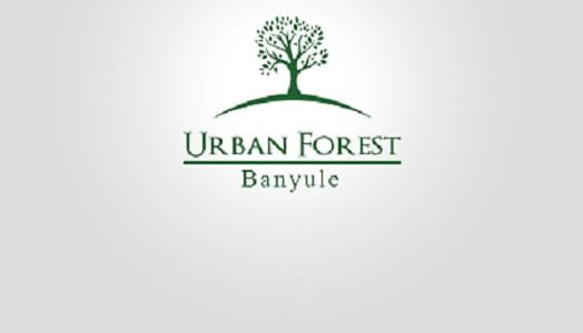 Urban Forest