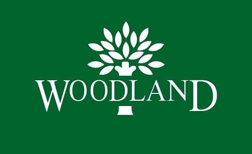 Woodland 