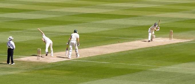 Brand Ambassador of Cricket