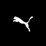 Brand Ambassador of Puma in India