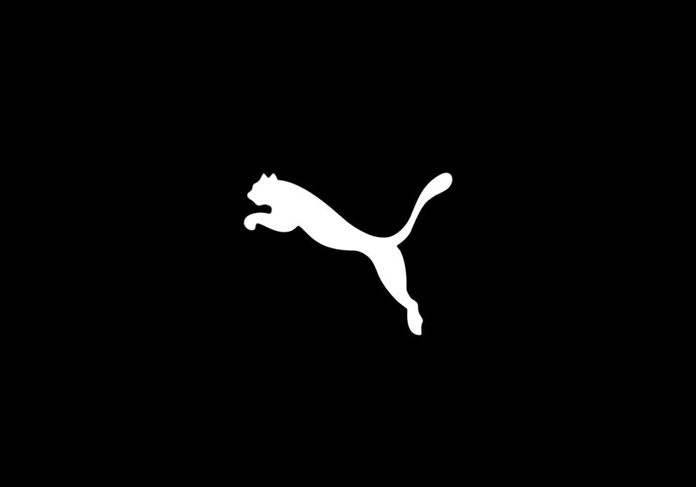 Brand Ambassador of Puma in India