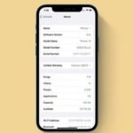 How to Check iPhone Model?