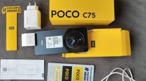 Is POCO a Chinese Brand?